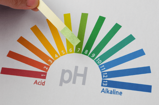 How Your Shampoo’s pH Influences Scalp Health
