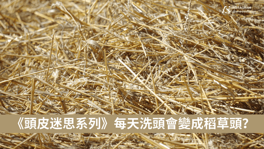 《頭皮迷思系列》日日洗頭會令頭髮變乾?