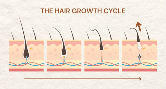 Understanding the Hair Growth Cycle