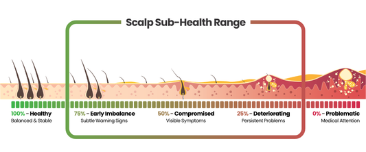 What Is Unhealthy Scalp? Why Is My Scalp Unhealthy? How Can I Stop Unhealthy Scalp?