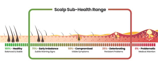 What Is Unhealthy Scalp? Why Is My Scalp Unhealthy? How Can I Stop Unhealthy Scalp?